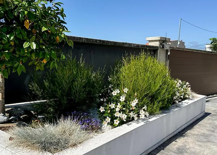 Con Piscina A Pie De Playa *